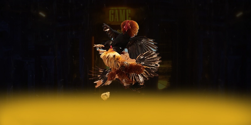 789P – Thương hiệu có thưởng lớn, được cộng đồng game thủ tin tưởng. 789P – Thương hiệu có thưởng lớn, được cộng đồng game thủ tin tưởng.