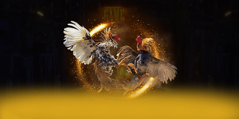 DAGA88 - Sân chơi cung cấp hàng trăm tựa game đẳng cấp được yêu thích nhất – Tìm hiểu DAGA88 DAGA88 - Sân chơi cung cấp hàng trăm tựa game đẳng cấp được yêu thích nhất – Tìm hiểu DAGA88