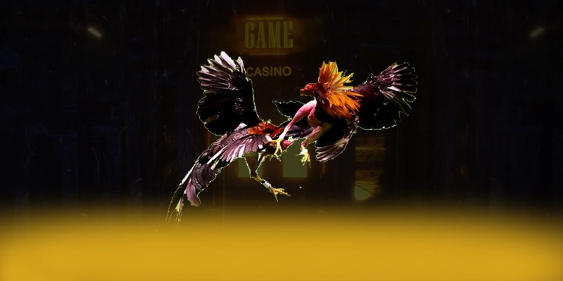 789WIN - Cổng game bài được yêu thích số 1 Việt Nam 789WIN - Cổng game bài được yêu thích số 1 Việt Nam