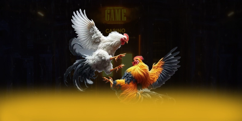 LC88 – Nhà cái hàng đầu Việt Nam, đang làm mưa làm gió trên thị trường. LC88 – Nhà cái hàng đầu Việt Nam, đang làm mưa làm gió trên thị trường.