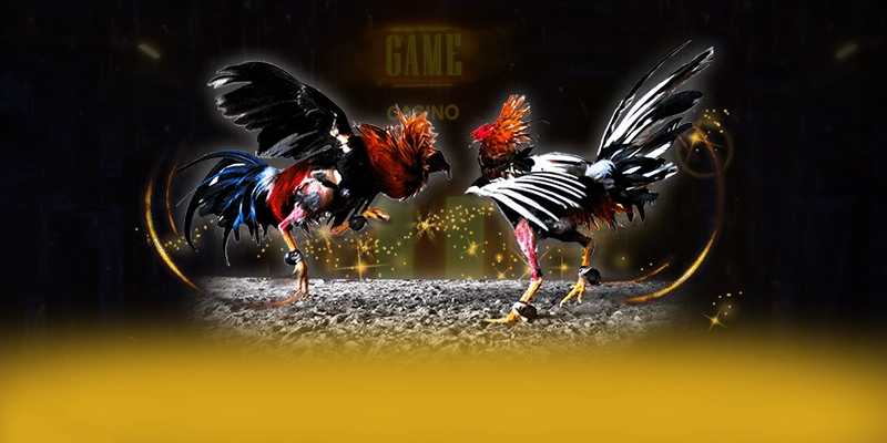 SA88 - Sân chơi với hệ thống bảo mật hiện đại trên thị trường – Khám phá sự an toàn và minh bạch tại SA88 SA88 - Sân chơi với hệ thống bảo mật hiện đại trên thị trường – Khám phá sự an toàn và minh bạch tại SA88