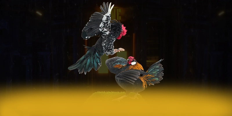 DAGA88 – Cổng trò chơi an toàn tuyệt đối, đang làm mưa làm gió trên thị trường. DAGA88 – Cổng trò chơi an toàn tuyệt đối, đang làm mưa làm gió trên thị trường.