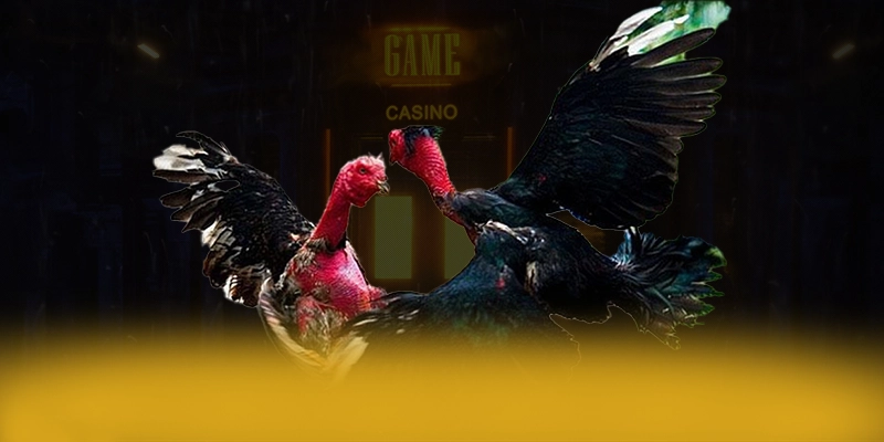 Cập nhật thông tin về LC88 - Cổng game bài được tin dùng 2025
Cập nhật thông tin về LC88 - Cổng game bài được tin dùng 2025