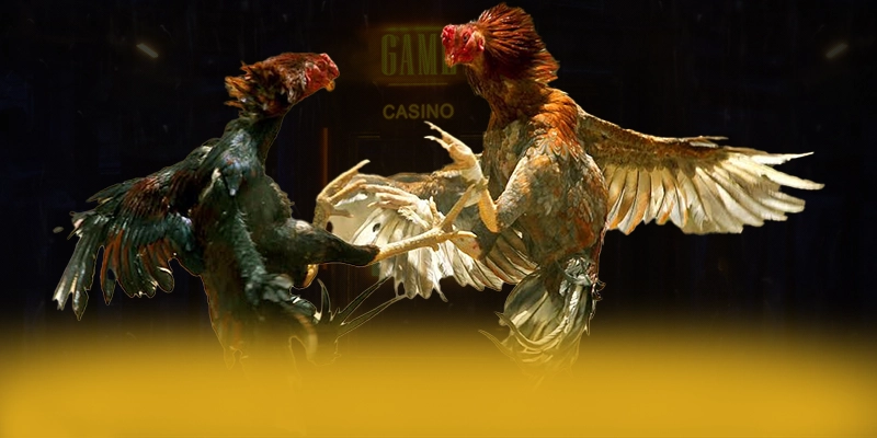 Tìm hiểu VWIN - Cổng game uy tín hiện nay
Tìm hiểu VWIN - Cổng game uy tín hiện nay