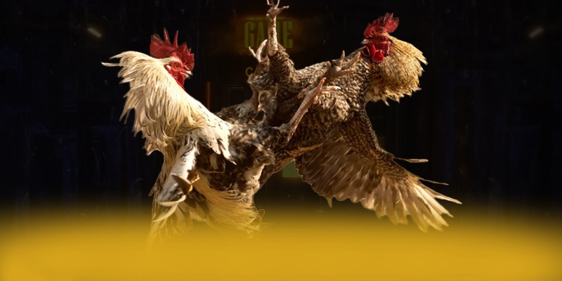 GA6789 - Thương hiệu hào phóng trên thị trường – Điểm qua GA6789 GA6789 - Thương hiệu hào phóng trên thị trường – Điểm qua GA6789