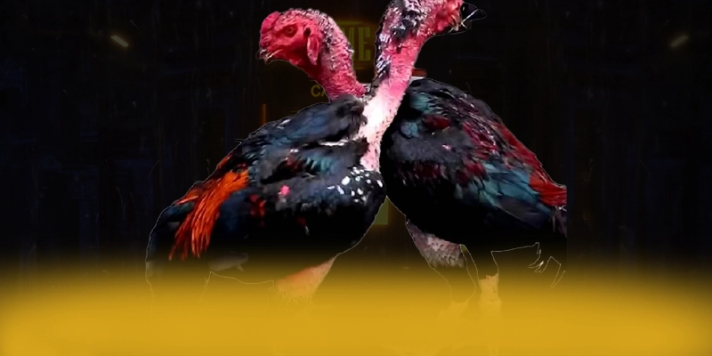 789WIN - Tổng kết hành trình phát triển từ cộng đồng game thủ. 789WIN - Tổng kết hành trình phát triển từ cộng đồng game thủ.