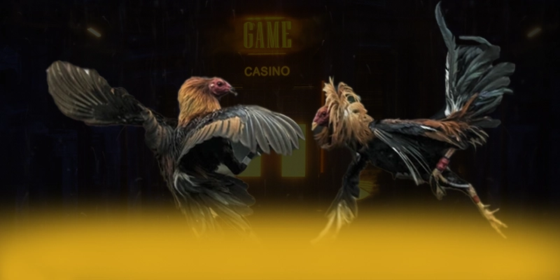 988bet - Nhà cái với nhiều tựa game đổi thưởng hấp dẫn được game thủ lựa chọn – Khám phá những game hot đến từ 988bet 988bet - Nhà cái với nhiều tựa game đổi thưởng hấp dẫn được game thủ lựa chọn – Khám phá những game hot đến từ 988bet