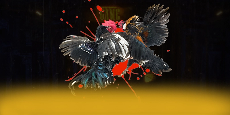 VWIN - Thương hiệu đáng trải nghiệm hiện nay VWIN - Thương hiệu đáng trải nghiệm hiện nay