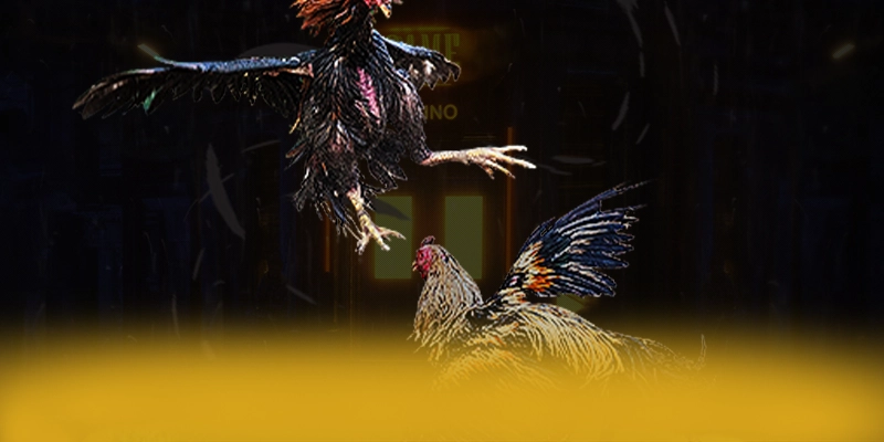 DAGA88 - Tóm tắt nội dung một cách chi tiết. DAGA88 - Tóm tắt nội dung một cách chi tiết.