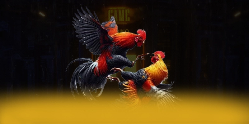 Khám phá tài xỉu online - Cổng game bài chất lượng trên thị trường
Khám phá tài xỉu online - Cổng game bài chất lượng trên thị trường