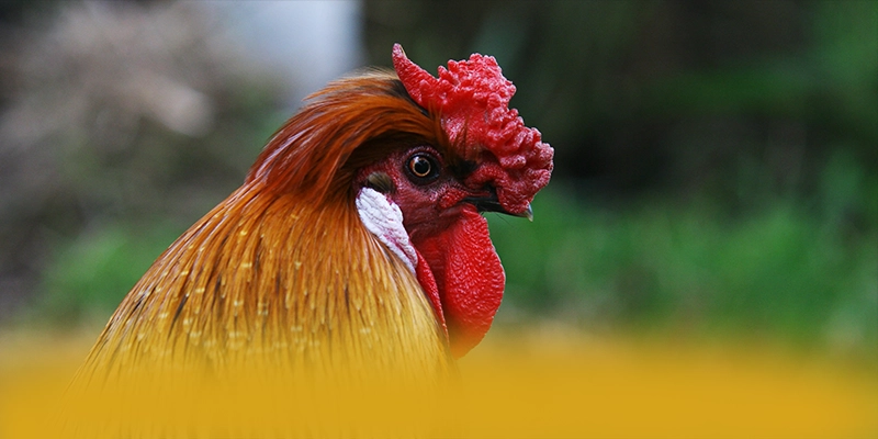 LC88 - Cổng giải trí tối ưu trong giới game thủ LC88 - Cổng giải trí tối ưu trong giới game thủ