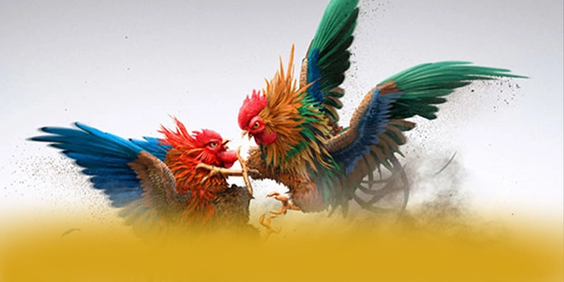 SA88 - Nền tảng cá cược mang đến thế giới game đa dạng đang làm mưa làm gió trên thị trường – Khám phá ngay các trò chơi tại SA88 SA88 - Nền tảng cá cược mang đến thế giới game đa dạng đang làm mưa làm gió trên thị trường – Khám phá ngay các trò chơi tại SA88