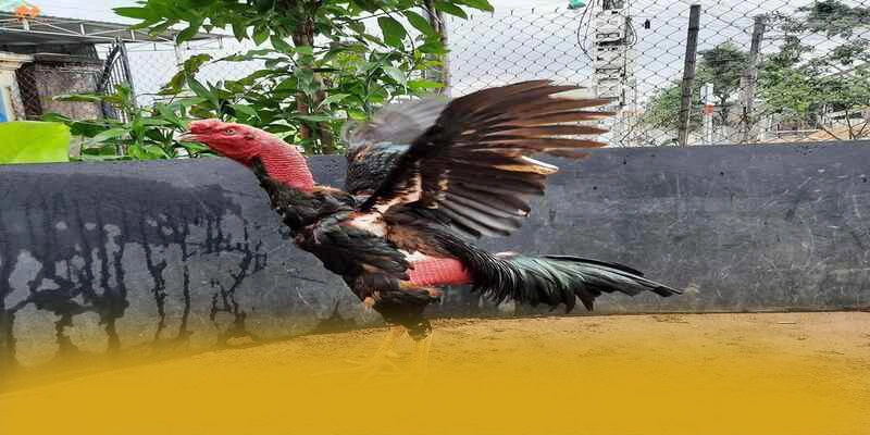 Cùng trải nghiệm SUNWIN - Sân chơi hàng đầu Việt Nam trên thị trường
Cùng trải nghiệm SUNWIN - Sân chơi hàng đầu Việt Nam trên thị trường