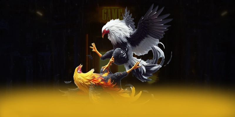 conga6789 - Thương hiệu với chính sách bảo mật hàng đầu trên thị trường – Khám phá conga6789 conga6789 - Thương hiệu với chính sách bảo mật hàng đầu trên thị trường – Khám phá conga6789