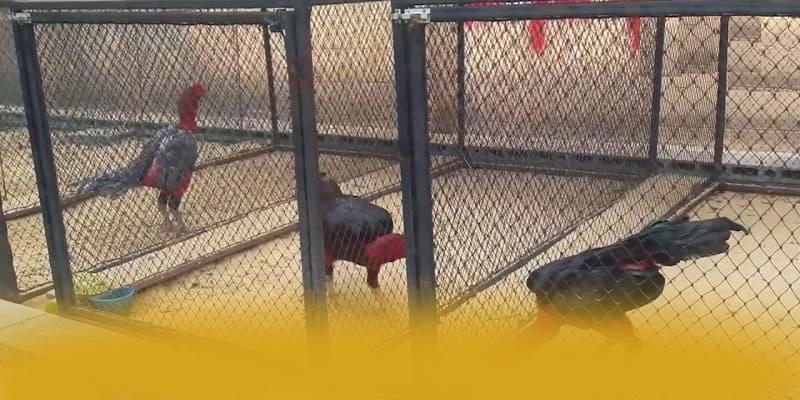 UU88 – Thương hiệu được nhiều người chơi lựa chọn, được cộng đồng game thủ tin tưởng. UU88 – Thương hiệu được nhiều người chơi lựa chọn, được cộng đồng game thủ tin tưởng.