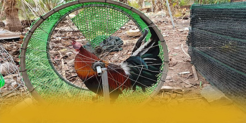 CONGA6789 - Thương hiệu game trực tuyến đang được quan tâm hàng đầu trong cộng đồng game thủ – Tìm hiểu CONGA6789 CONGA6789 - Thương hiệu game trực tuyến đang được quan tâm hàng đầu trong cộng đồng game thủ – Tìm hiểu CONGA6789