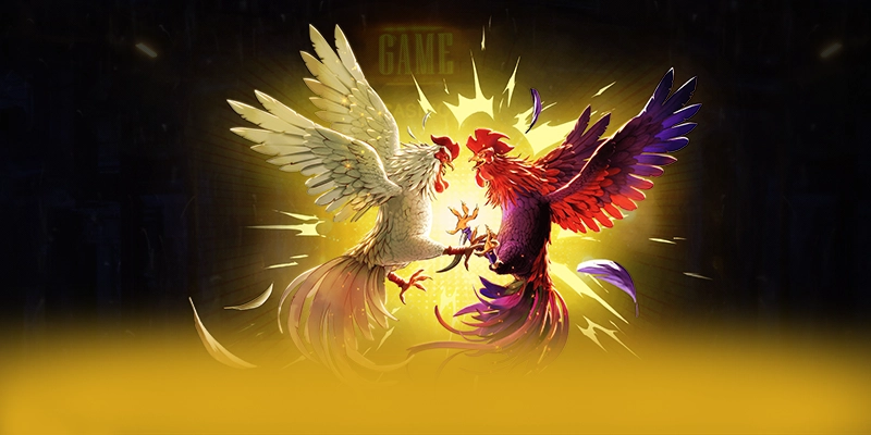 88VV - Nhận định cuối cùng với đầy đủ ưu điểm nổi bật. 88VV - Nhận định cuối cùng với đầy đủ ưu điểm nổi bật.